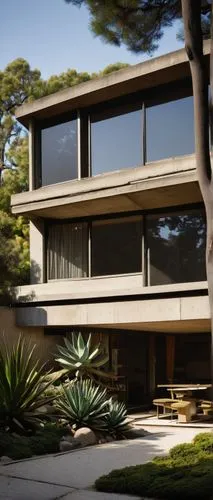 neutra,mid century house,mid century modern,eichler,seidler,dunes house,midcentury,modern house,utzon,cantilevered,fresnaye,docomomo,modern architecture,landscape design sydney,corbu,contemporary,cantilevers,forest house,breuer,landscape designers sydney,Photography,Black and white photography,Black and White Photography 15