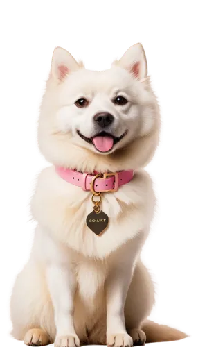 akita inu,samoyed,dogecoin,pomeranian,shiba,shiba inu,cheerful dog,japanese spitz,female dog,chinese imperial dog,dog,dog breed,wag,thai bangkaew dog,pungsan dog,dog pure-breed,german spitz,german spitz mittel,american eskimo dog,akita,Illustration,Abstract Fantasy,Abstract Fantasy 19