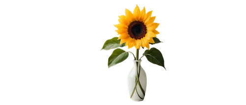 sunflower paper,sunflower,woodland sunflower,small sun flower,stored sunflower,helianthus,flowers png,sunflower lace background,sunflowers in vase,sun flower,sunflower coloring,rudbeckia,gazania,helianthus occidentalis,calenduleae,pointed flower,flower illustration,helianthus sunbelievable,minimalist flowers,cut flower,Conceptual Art,Oil color,Oil Color 01