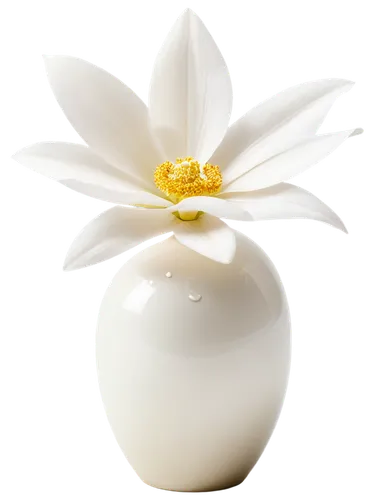 fragrance teapot,tuberose,flower vase,white flower,scent of jasmine,gold flower,perfume bottle,white lily,fragrance,salt flower,vase,coconut perfume,guerlain,cape jasmine,parfum,decorative flower,the white chrysanthemum,ceramide,flower gold,perfumery,Illustration,Abstract Fantasy,Abstract Fantasy 16