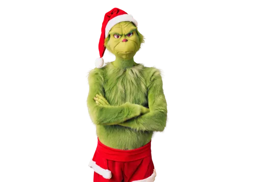 grinch,grinches,roelf,elf,chrismukkah,christmas imp,blankman,santaland,lutin,perroncel,elfving,elf on a shelf,julkipli,santaniello,kermit,christman,energex,christmas messenger,christmas background,houseleek,Photography,Artistic Photography,Artistic Photography 09