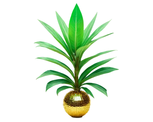 pineapple background,palm tree vector,pinya,pineapple wallpaper,pineapple plant,palmtree,ananas,pinapple,palmera,palmsource,easter palm,bromelain,fir pineapple,potted palm,cycas,palm tree,palm,small pineapple,pineapples,coconut tree,Illustration,Realistic Fantasy,Realistic Fantasy 38