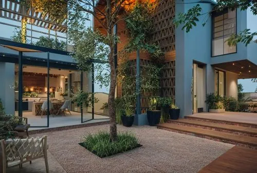 some very pretty plants and stairs outside of a house,garden design sydney,landscape design sydney,landscape designers sydney,landscaped,bamboo plants,dunes house,Photography,General,Cinematic