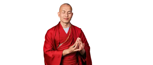 bhante,buddhist monk,dhammananda,sangha,theravada,sayadaw,rimpoche,rahula,theravada buddhism,karmapa,tenzin,buddist,bhikkhunis,buddhist,monk,swami,fpmt,bapa,buddhadharma,nibbana,Illustration,Vector,Vector 04