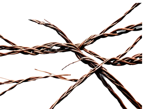 ribbon barbed wire,barbed wire,barbwire,crown of thorns,barbed,barb wire,crossed,iron chain,sailor's knot,iron rope,iron cross,block chain,crossed ribbons,chainlink,twine,rusty chain,cordage,knot,rope knot,steel rope,Illustration,Realistic Fantasy,Realistic Fantasy 29