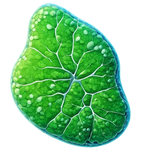 Cellular structure, 3D illustration, plant cell, nucleus, mitochondria, chloroplasts, cell membrane, cytoplasm, vacuoles, ribosomes, microscopic view, detailed texture, semi-transparent, colorful orga