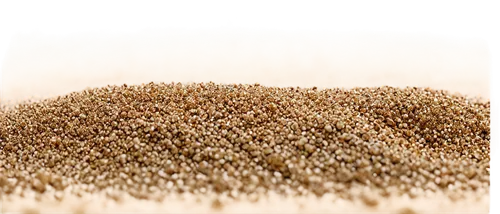 psyllium seed husks,amaranth grain,rice seeds,grain field panorama,grains,round straw bales,fregula,soybeans,field of cereals,marram grass,grass seeds,pile of straw,dune grass,anthill,seed wheat,sorghum,dried grass,cereal grain,dry grass,sprouted wheat,Illustration,Retro,Retro 02