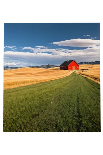 farm background,grain field panorama,farm landscape,straw bales,gable field,round straw bales,aroostook county,wheat crops,grain field,straw bale,alberta,straw field,red barn,roumbaler straw,rural landscape,durum wheat,farmland,landscape background,landscape photography,straw hut,Illustration,Vector,Vector 06