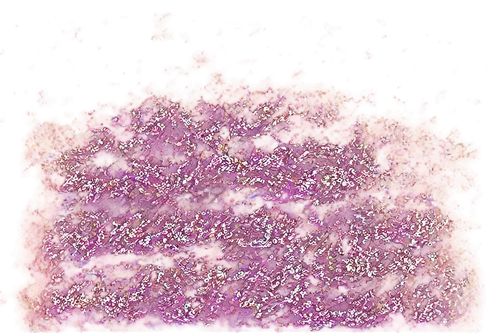 hyphae,purpleabstract,biofilm,microvilli,microtubules,pink grass,epidermis,microtubule,degenerative,peroxisomes,soft coral,cytoskeletal,epithelium,generative,epidermidis,generated,epithelioid,epithelial,fairy galaxy,kngwarreye,Conceptual Art,Sci-Fi,Sci-Fi 10