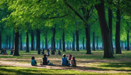 happy children playing in the forest,chestnut forest,tree grove,row of trees,tuileries garden,versailles,green forest,nara park,grove of trees,walk in a park,champ de mars,tiergarten,promenade,child in park,people in nature,green trees,tree-lined avenue,forest of dreams,forest ground,tree lined,Photography,Documentary Photography,Documentary Photography 11