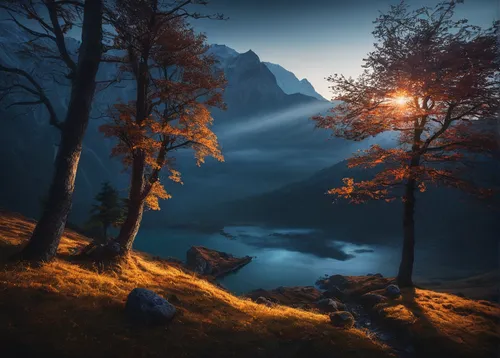 fantasy landscape,light of autumn,first light,mountain sunrise,games of light,autumn mountains,mountain landscape,forest landscape,landscape background,nature landscape,evening atmosphere,landscapes,northen light,beautiful landscape,eventide,landscape nature,autumn light,landscape photography,fantasy picture,light of night,Photography,Documentary Photography,Documentary Photography 25