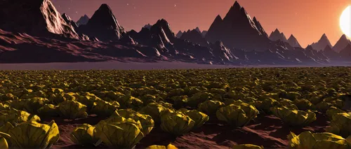 alien planet,terraforming,alien world,lunar landscape,desert planet,exoplanet,field of cereals,plains,moonlight cactus,solar field,kerbin planet,futuristic landscape,sunflower field,mandelbulb,volcanic field,vegetable field,vegetables landscape,volcanic landscape,red planet,pineapple field,Art,Classical Oil Painting,Classical Oil Painting 44