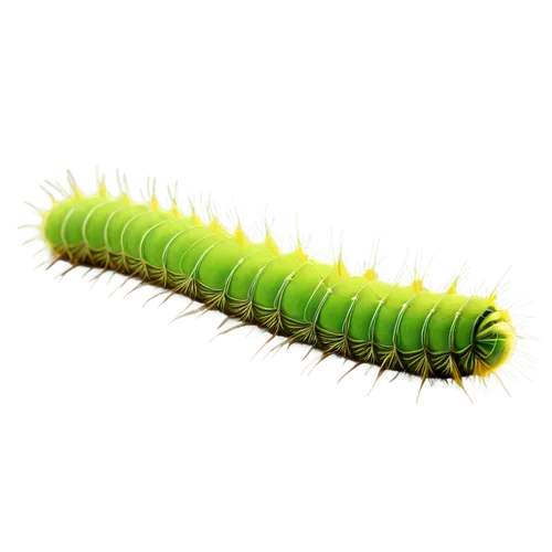 caterpillar,waxworm,hornworm,maguey worm,swallowtail caterpillar,patrol,centipede,larva,oak sawfly larva,caterpillars,butterfly caterpillar,caterpillar gypsy,peperoncini,pea,pellworm,larvae,citronella,noorderleech,cutworms,millipedes,Conceptual Art,Sci-Fi,Sci-Fi 07