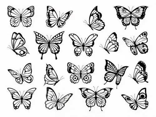 butterfly clip art,butterfly vector,butterfly pattern,papillons,butterfly background,morphos,butterflies,mariposas,graphium,lepidopterans,monarchs,butterfly white,vector pattern,butterfly wings,lepidopterists,forewing,scrapbook clip art,charaxes,lepidopterist,butterly