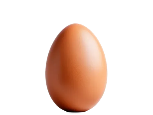 egg,chicken egg,large egg,brown egg,bisected egg,egg shell,soy egg,eggshell,hen's egg,organic egg,egg shaker,boiled egg,painted eggshell,chicken eggs,egg shells,eggs,cracked egg,egg face,goose eggs,egg cooked,Photography,Documentary Photography,Documentary Photography 24