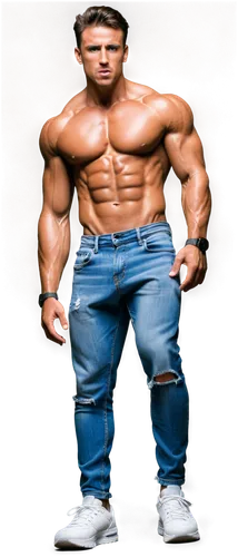 trenbolone,clenbuterol,body building,physiques,bodybuilding,chaderton,edge muscle,nudelman,bodybuilder,myostatin,hypertrophy,steroid,bufferin,pec,gaspari,ferrigno,muscularity,musclemen,anabolic,premaxillae,Illustration,Black and White,Black and White 25