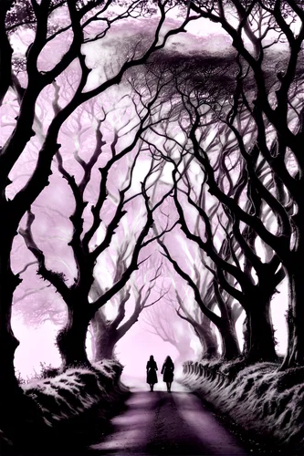 the dark hedges,halloween bare trees,purple landscape,bare trees,couple silhouette,hollow way,tree grove,vintage couple silhouette,old tree silhouette,celtic tree,forest road,druid grove,halloween silhouettes,row of trees,silhouette art,the trees,houses silhouette,purple pageantry winds,beech trees,crown silhouettes,Conceptual Art,Fantasy,Fantasy 27