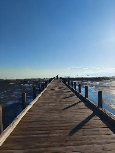 wooden pier,boardwalks,boardwalk,wooden bridge,board walk,fishing pier,teak bridge,harborwalk,dock,walkway,jetty,wooden decking,old jetty,wooden path,docks,shorefront,wood and beach,virtual landscape,