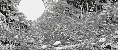 swampy landscape,cartoon forest,background ivy,tunnel of plants,tree grove,fairy forest,undergrowth,wild strawberries,hare trail,coppice,coppiced,the forest,mushroom landscape,forest glade,hedge,charcoal nest,forest,chestnut forest,forests,virtual landscape,Illustration,Black and White,Black and White 06