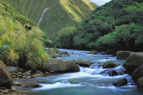 paparoa national park,mountain stream,reunion island,napali coast,huka river,conguillío national park,napali,cabaneros national park,kauai,molokai,flowing creek,mountain river,philippines scenery,mountain spring,flowing water,water flowing,taranaki,green waterfall,the vishera river,aura river,Art,Artistic Painting,Artistic Painting 28