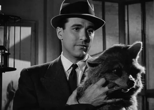 Craft a comedic dialogue between Kaz and a mischievous talking animal companion.,humphrey bogart,george paris,wolf bob,welness,walt,bruno jura hound,marshall,gregory peck,casablanca,hound dogs,stan la