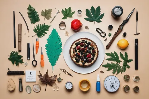 Craft a captivating Mr Beast thumbnail with a suspenseful forest scene.,food collage,naturopathy,foragers,culinary herbs,herbal medicine,food styling,food icons,flat lay,cooking book cover,food ingred