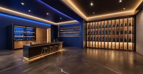 walk-in closet,wine cellar,liquor bar,gold bar shop,dark cabinetry,wine bar,wine boxes,luxury home interior,brandy shop,pantry,dark cabinets,music store,interior design,wine cooler,wine bottle range,search interior solutions,luxury bathroom,home theater system,interior modern design,cabinets,Photography,General,Realistic