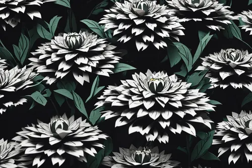 chrysanthemum background,wood daisy background,floral digital background,flowers png,flowers pattern,flannel flower,seamless pattern,tulip background,african daisies,floral background,japanese floral background,green chrysanthemums,leucanthemum,chrysanthemum flowers,flower pattern,chrysanthemum,seamless pattern repeat,chrysanths,background pattern,chrysanthemums,Unique,Paper Cuts,Paper Cuts 04