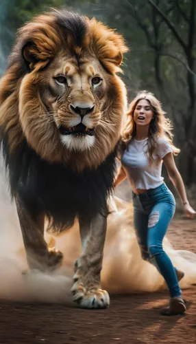 she feeds the lion,to roar,lion,skeezy lion,lionesses,lioness,two lion,female lion,roaring,king of the jungle,photoshop manipulation,roar,lion - feline,lion number,strong women,african lion,strong woman,lion white,lions,forest king lion,Photography,Artistic Photography,Artistic Photography 04