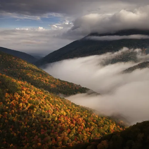 A piece of fine art art photography titled Cloudland by Thierry Bornier,beech mountains,blue ridge mountains,great smoky mountains,foggy mountain,autumn mountains,autumn fog,mists over prismatic,fog b