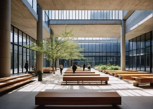 atriums,technion,school design,masdar,schulich,calpers,inside courtyard,atrium,cupertino,kaust,courtyard,ucd,wintergarden,ucsd,university library,biotechnology research institute,ghana ghs,kansai university,csusb,shenzhen vocational college,Photography,Black and white photography,Black and White Photography 06