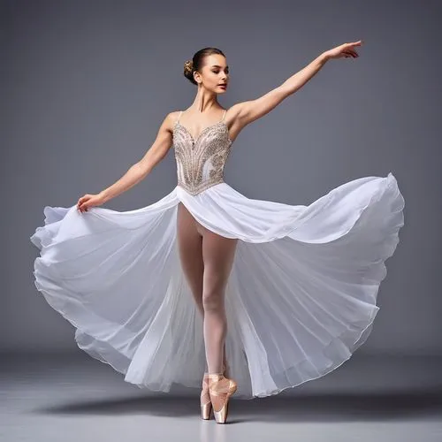 vishneva,vaganova,fonteyn,aleynikov,ballet tutu,kornelia,balanchine,ballet dancer,ballerina,mariinsky,capezio,sylphide,swan lake,white swan,danseuse,lopatkina,ballet,ballet pose,sylphides,pointe,Photography,General,Realistic