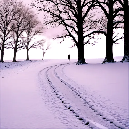 purple landscape,the purple-and-white,winter background,snow landscape,winter landscape,purple blue ground,snowy landscape,snow scene,white with purple,winterland,snow trail,white purple,winter dream,purple wallpaper,violet colour,purpleabstract,light purple,pale purple,wintry,winters,Conceptual Art,Sci-Fi,Sci-Fi 18