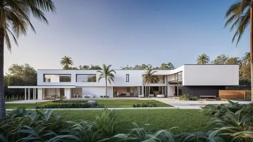 modern house,modern architecture,florida home,dunes house,holiday villa,residential house,bendemeer estates,tropical house,smart home,two palms,house shape,archidaily,villa,palm field,family home,smar