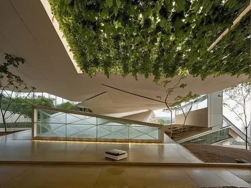 tree top path,zen garden,tree canopy,glass roof,garden design sydney,concrete ceiling,bodhi tree,eco hotel,roof garden,roof landscape,archidaily,japanese zen garden,climbing garden,the japanese tree,garden of plants,hanging plants,japanese architecture,ficus,wine-growing area,daylighting,Photography,General,Realistic