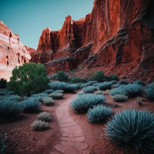 red rock canyon,fairyland canyon,valley of fire state park,street canyon,valley of fire,pathway,desert desert landscape,desert landscape,arid landscape,united states national park,hiking path,arches national park,bright angel trail,angel's landing,desert plants,zion,canyon,arizona,red canyon tunnel,zion national park,Photography,Artistic Photography,Artistic Photography 12