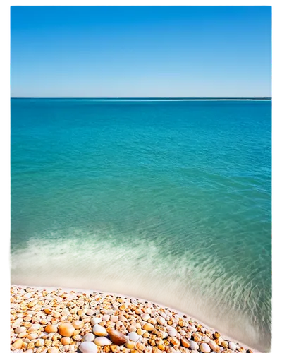 Myrtle Beach ocean, serene morning scene, calm turquoise water, gentle waves, soft sandy beach, seashells scattered, sunny weather, clear blue sky, few puffy white clouds, low-angle shot, wide-angle l