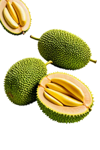 durian seed,kaki fruit,durian,salak,kiwi lemons,kiwi fruit,kiwifruit,avacado,jackfruit,pitahaya,mangifera,accessory fruit,kiwi halves,cocos nucifera,pitahaja,soursop,areca nut,kiwi,tropical fruits,schisandraceae,Unique,Design,Infographics