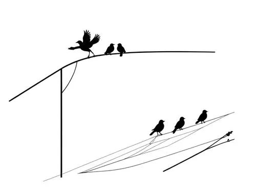 birds on branch,birds on a wire,birds on a branch,passerines,line art birds,bird flight,Design Sketch,Design Sketch,Rough Outline