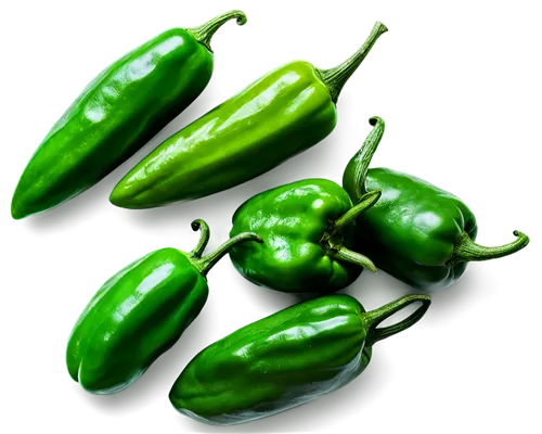 serrano peppers,green bell peppers,pimentos,jalapenos,chilli pods,anaheim peppers,green paprika,green pepper,bell peppers,jalapeno,chiles,peppers,sweet peppers,gherardi,green bell pepper,bellpepper,capsicums,pimientos,poblano,chile pepper,Illustration,Paper based,Paper Based 16