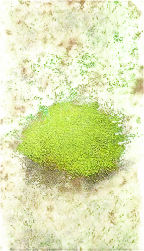 duckweed,water lily leaf,chameleon abstract,pool water surface,bladderwort,puccinia,azolla,veil yellow green,watercolour texture,ostracod,cyanobacteria,water surface,leaf macro,glitter leaf,xanthomonas,chlorophyta,alligatorweed flea beetle,leafminer,flatfish,tetrahymena,Art,Classical Oil Painting,Classical Oil Painting 13