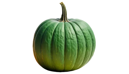 figleaf gourd,pointed gourd,cucuzza squash,cucurbita,bitter gourd,gem squash,scarlet gourd,melon,cucurbit,muskmelon,cucumis,gourd,calabaza,zucchini,poblano,courgette,pepino,snake gourd,honeydew,bottle gourd,Illustration,Abstract Fantasy,Abstract Fantasy 16