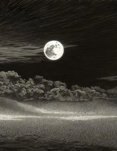 lunar landscape,moonscape,moon surface,dune sea,matruschka,lunar surface,moonlit night,photomontage,dark beach,dune landscape,stieglitz,moon valley,phase of the moon,virtual landscape,sea night,moonli