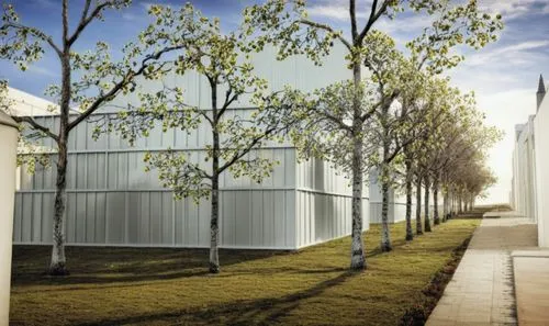 school design,prefabricated buildings,biotechnology research institute,archidaily,facade panels,new building,birch alley,metal cladding,ornamental dividers,plane trees,robinia,new housing development,