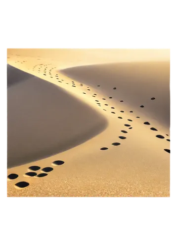 footprints in the sand,footprints,sand paths,libyan desert,sahara desert,sand texture,sand road,dubai desert,sand seamless,desert background,crescent dunes,sand pattern,sand dunes,desert desert landscape,shifting dunes,footsteps,namib,dunes national park,desert run,footprint,Illustration,Paper based,Paper Based 07