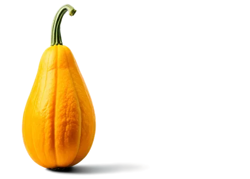 cucuzza squash,gem squash,cucurbita,calabaza,winter squash,pointed gourd,bitter gourd,squash,butternut squash,gourd,figleaf gourd,scarlet gourd,butternut,acorn squash,gourds,papaya,yellow pepper,cucurbit,summer squash,white pumpkin,Photography,Artistic Photography,Artistic Photography 09