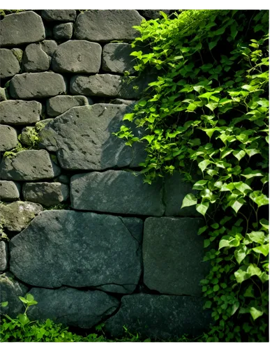 stone wall,stonewalls,drystone,cry stone walls,stone fence,stone wall road,old wall,rockery,stonewalled,mountain stone edge,stonewalling,stone ramp,stonework,rockeries,wall stone,background with stones,nordwall,walling,longwall,stone stairway,Illustration,Japanese style,Japanese Style 05