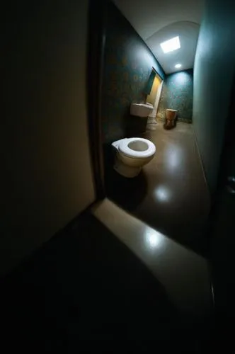 toilet,disabled toilet,washroom,toilet table,toilets,treatment room,toilet seat,examination room,rest room,therapy room,a dark room,fisheye lens,doctor's room,mri,mri machine,wc,commode,penumbra,loo,bathroom