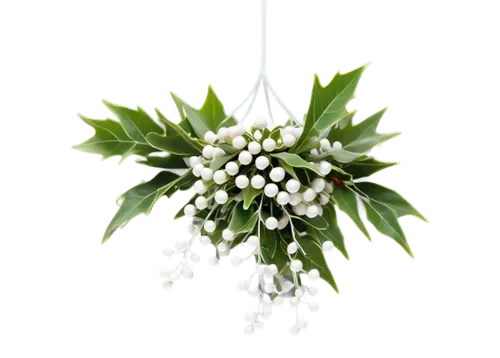 hanging decoration,flowers png,artificial flower,flower arrangement lying,luminous garland,floral arrangement,cherry laurel,star-of-bethlehem,white floral background,currant decorative,flower decoration,floral ornament,floral silhouette wreath,white flower cherry,artificial flowers,christmas tassel bunting,lily of the valley,pennant garland,thai garland,floral wreath,Conceptual Art,Sci-Fi,Sci-Fi 03