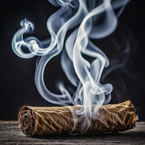 smoking cessation,smoke background,tobacco,cigar,cigar tobacco,cinnamon sticks,cinnamon stick,cuban cigar,yule log,chinese cinnamon,cigarettes on ashtray,smoke dancer,rolled cigarettes,abstract smoke,incenses,puffs of smoke,smoke art,smudge stick,cigars,smoking cigar,Photography,General,Realistic